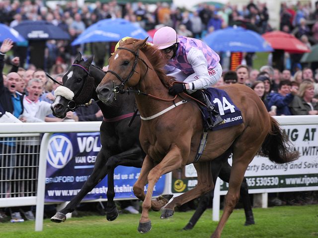 Baccarat edges out Spinatrix to win at Ripon