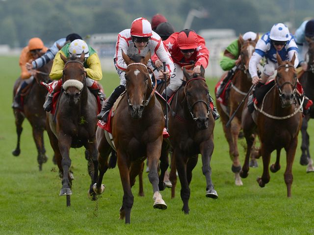 Tiger Cliff wins the Ebor under Queally