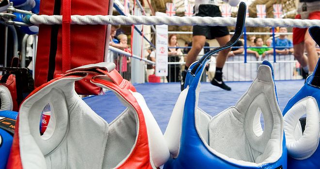 Sidelined: Head-guards will not be used at this month's World Championships