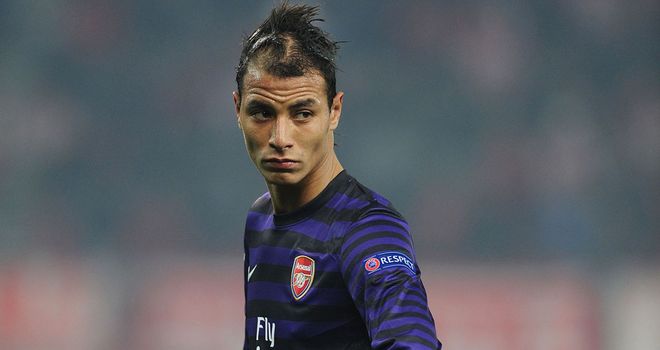 Marouane Chamakh: Set to join Crystal Palace on a one-year contract