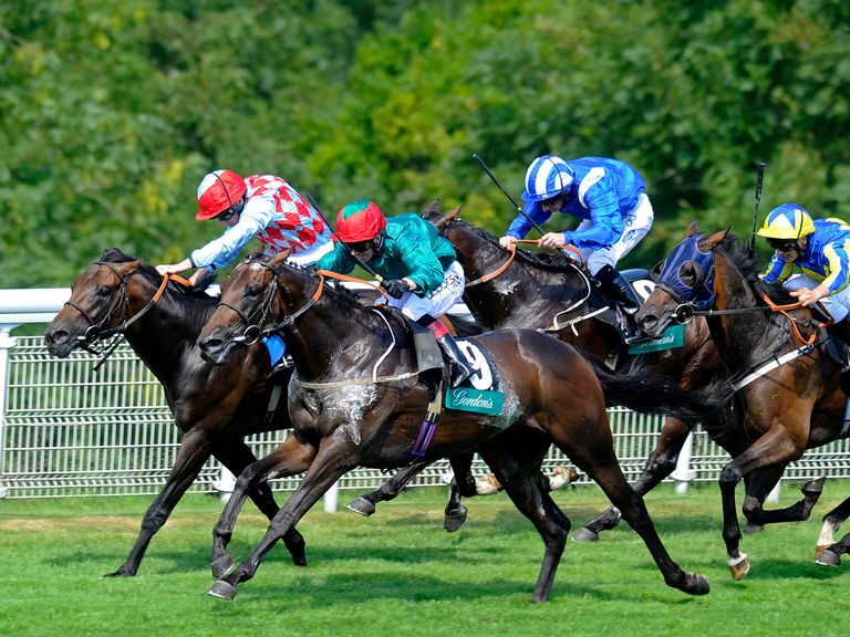 Red Avenger: Simon Holt's idea of the likely winner