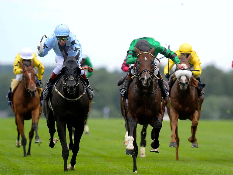 Royal Skies (left): Wins at the Shergar Cup meeting