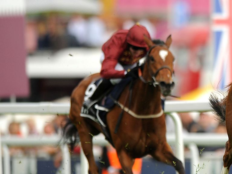 Secret Gesture: Worth backing at Nottingham