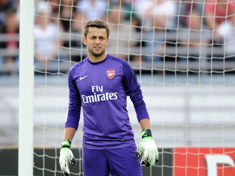 Lukasz Fabianski: Set to leave Arsenal this summer