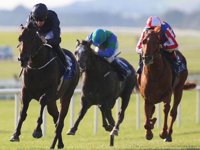 Geoffrey Chaucer: Beresford winner