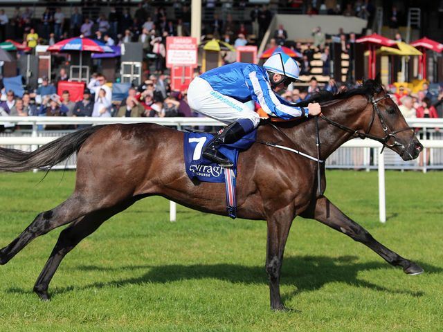 Shining Emerald (second from right): Impressive winner