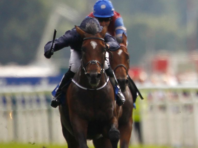 O'Brien: Can land another St Leger with Foundry