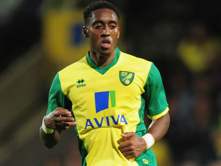 Leroy Fer: Joined Norwich in the summer