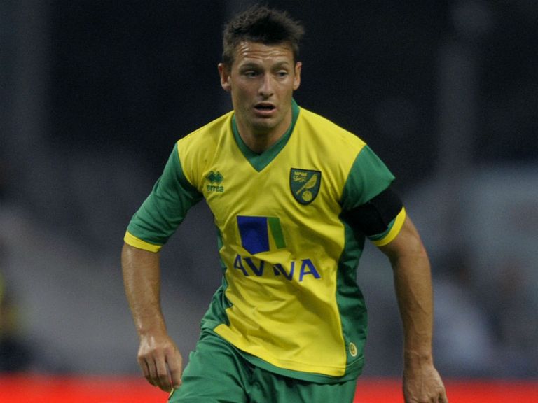 Wes Hoolahan: Remains part of Chris Hughton's plans