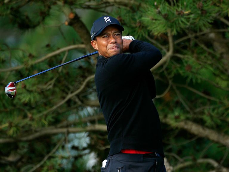 Woods: Award winner