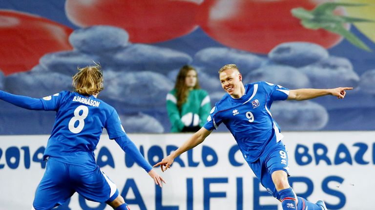 Kolbeinn Sigthorsson: Sent Iceland through to play-offs