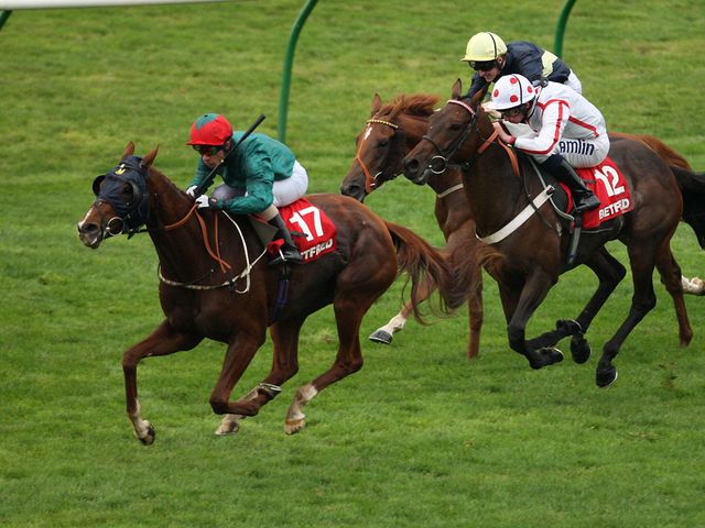 Scatter Dice forges clear to win the Cesarewitch