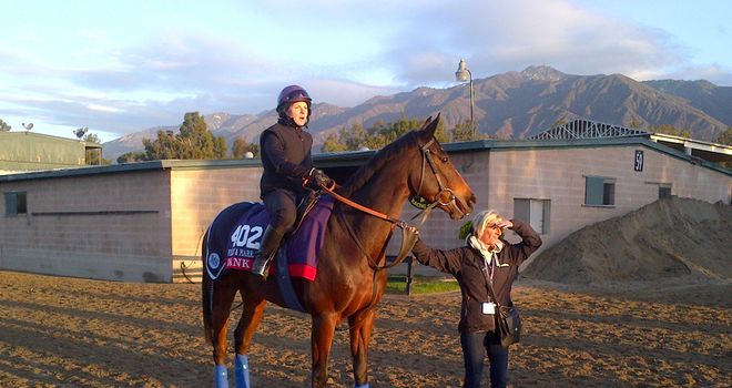 Dank prepares for her big day (photo by S. Clare)