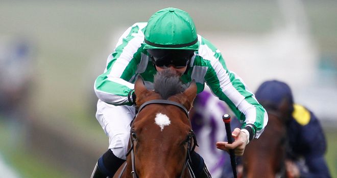 War Command: Set to be the O'Brien's main hope in the Irish 2,000 Guineas