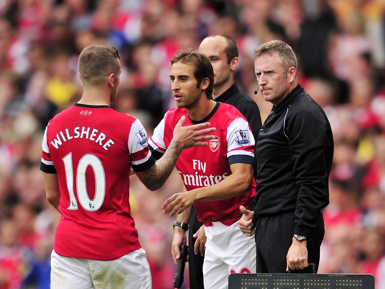 Mathieu Flamini: Has offered his backing to Jack Wilshere