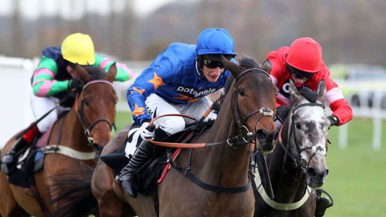 Activial: Set for the Adonis Hurdle