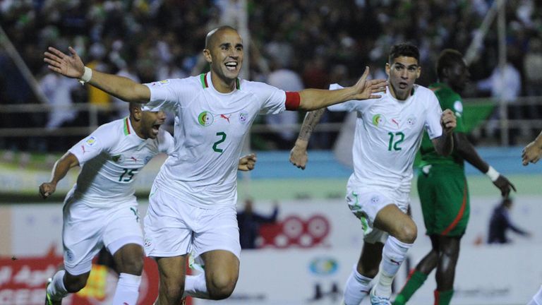 Madjid Bougherra: Celebrates scoring during Algeria's second-leg win