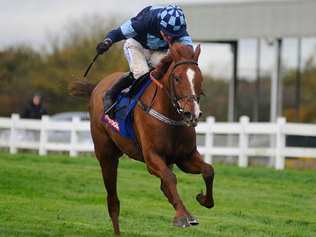 http://e1.365dm.com/13/11/640/Melodic-Rendezvous-Wincanton_3033061.jpg?