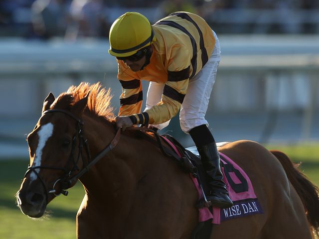 Wise Dan: Won the Breeders' Cup Mile for second year running