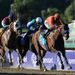 Baffert wins fourth BC Sprint