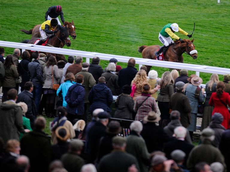 Quick Jack: A convincing winner at Cheltenham