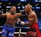 Upcoming Fights