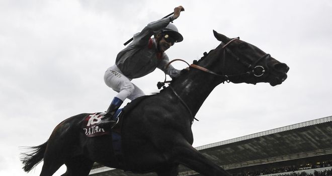 Treve: Will have a pacemaker this season