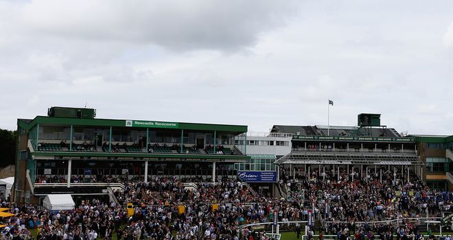 Newcastle: Could play host to a new artificial track