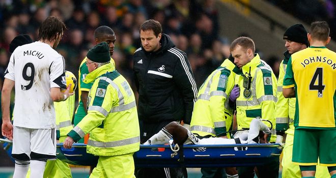 Nathan Dyer: Ligament damage for the Swansea winger