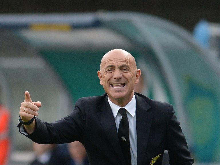 Giuseppe Sannino: Has replaced Gianfranco Zola at Watford