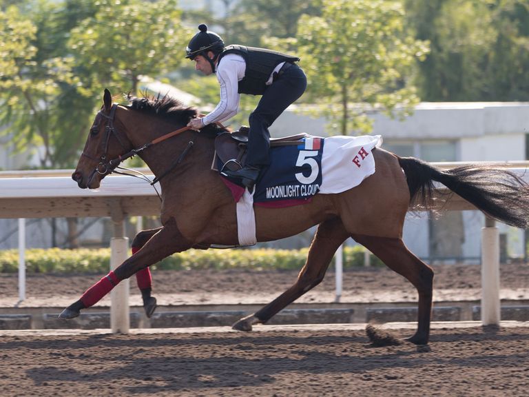 Moonlight Cloud can get the better of Sky Lantern