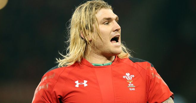 Richard Hibbard: Believes Wales can become one of the best teams in the world
