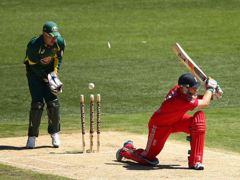 Brad Haddin: Watches the wicket of Ian Bell tumble
