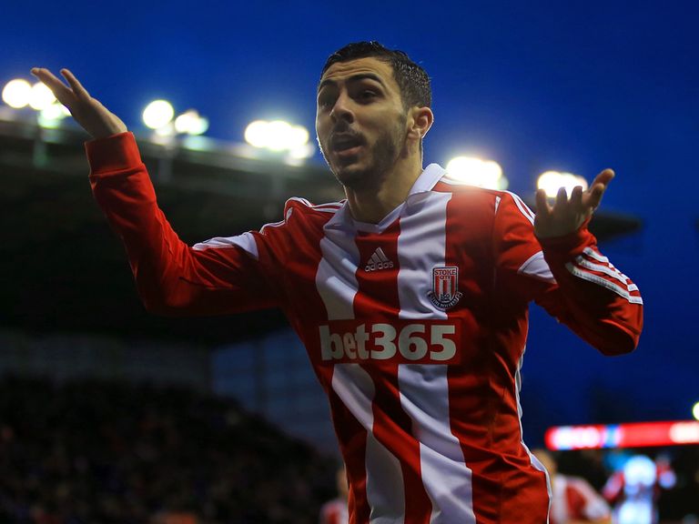 Oussama Assaidi celebrates his goal for Stoke against Everton.