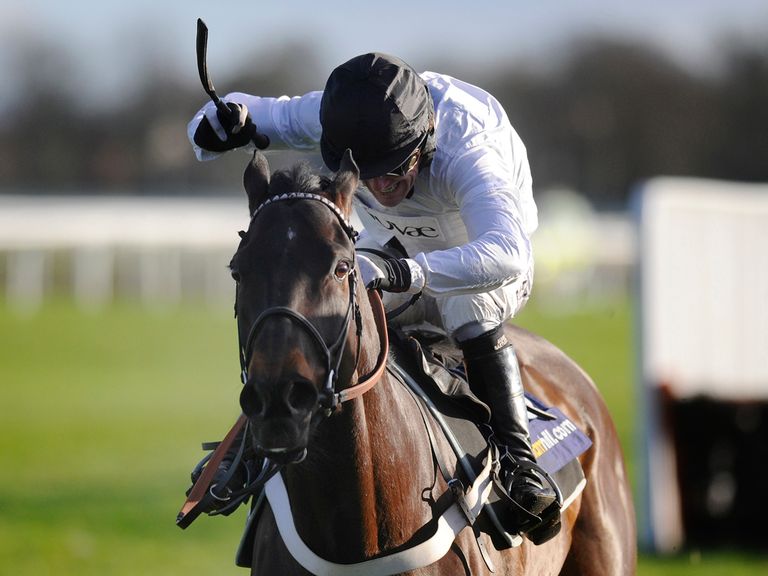 Royal Boy: Gave sire Lavirco a second Grade One win this term
