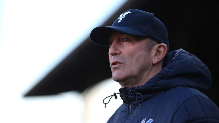 Tony Pulis: Crystal Palace boss praised his new signings