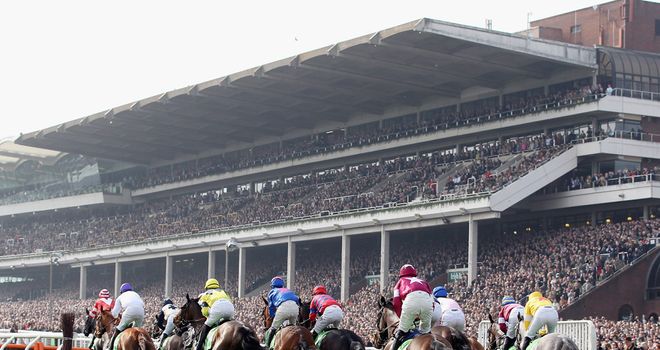 Cheltenham Festival: Foxhunters bid likely for The Hollinwell