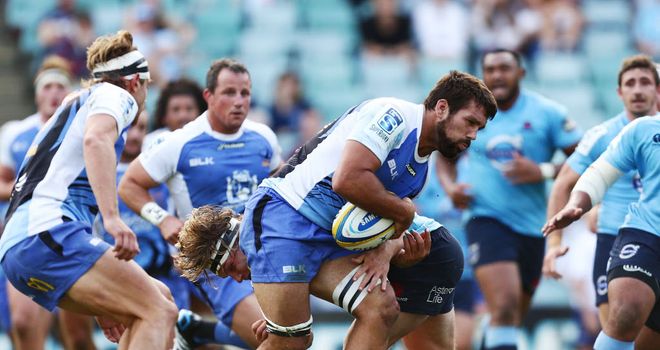 Chris Alcock: Returns to the Western Force XV