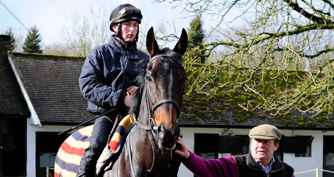 Sprinter Sacre looking 'mighty fine' with his trainer