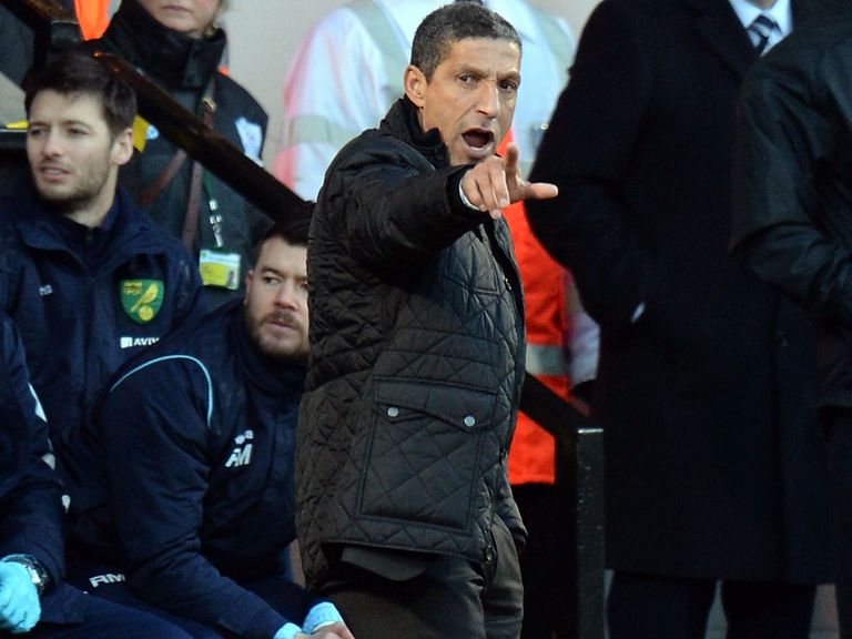 Chris Hughton: Backed by the club's hierarchy to keep Norwich up