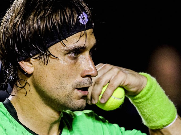 David Ferrer: Through to the next round