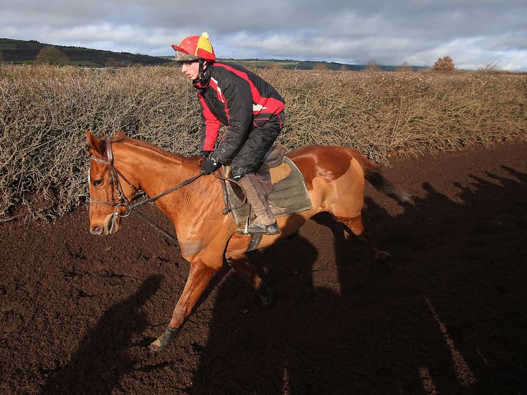 Annie Power: No indication over her Cheltenham target
