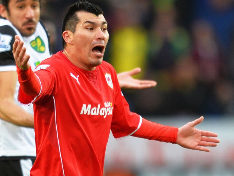 Gary Medel: Cardiff midfielder has been linked with Inter Milan