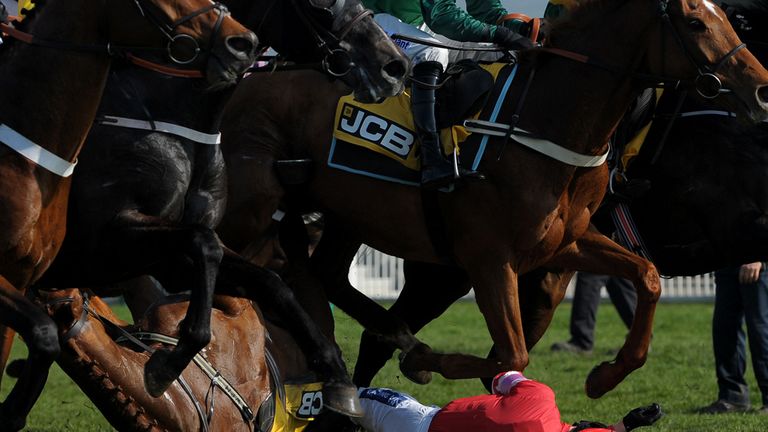 Ruby Walsh was thrown to the ground