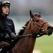 Hurricane Fly delights Walsh