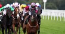 Ivory hopeful of Tropics run