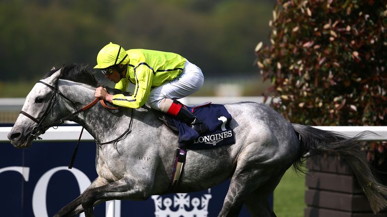 Tac De Boistron could be back to defend his Prix Royal-Oak title.