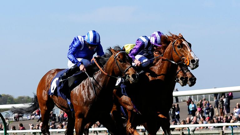 Mushir: Thirsk winner