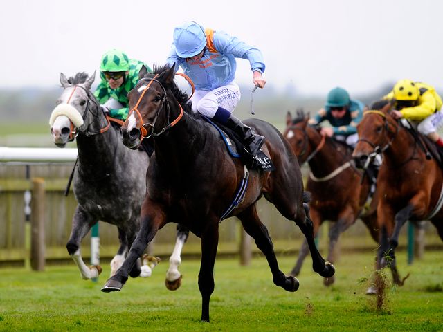 Toormore: Remains easy to back for the Guineas