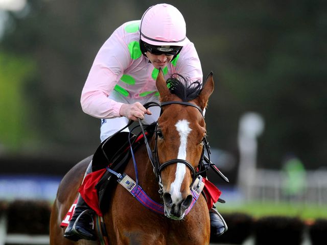 http://e1.365dm.com/14/04/640/faugheen-punchestown-ruby-walsh_3133204.jpg?20140429170227